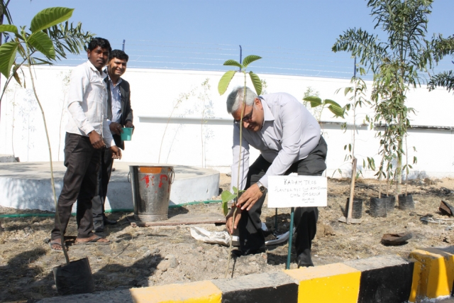 Om Logistic's Support Green Environment