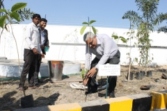 Om Logistic's Support Green Environment